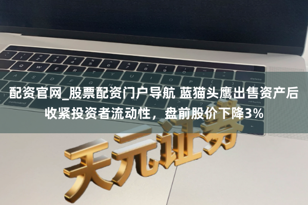 配资官网_股票配资门户导航 蓝猫头鹰出售资产后收紧投资者流动性，盘前股价下降3%